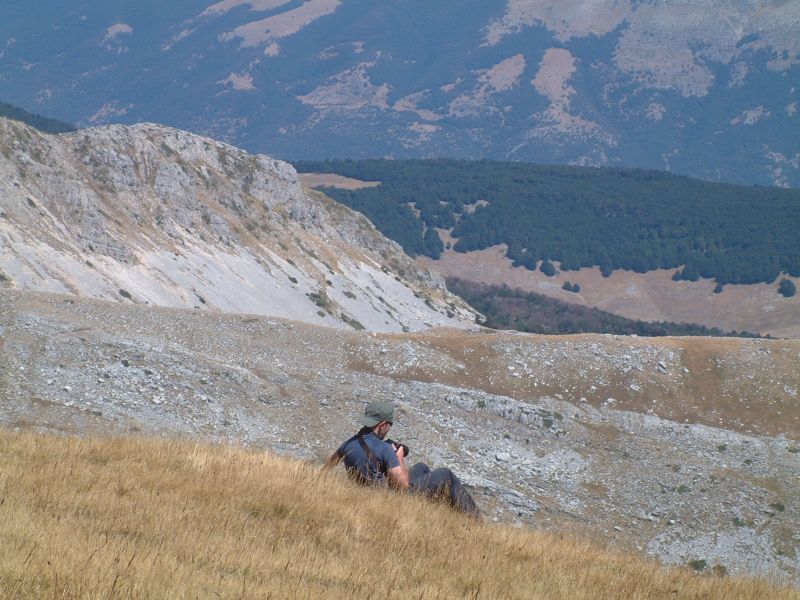 le mie prime foto ai camosci d''abruzzo